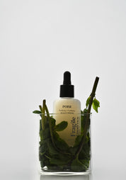 Fragile Cosmetics – POISE SÉRUM NA POKOŽKU HLAVY 50 ml / The Pellam Edit