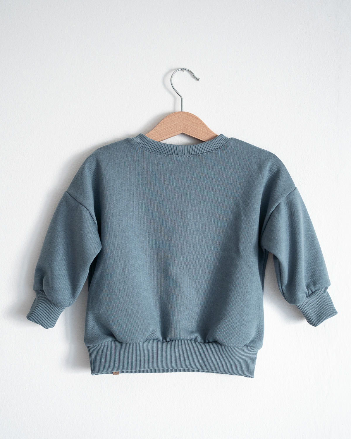 Minimal Animal - Baby blue sweatshirt