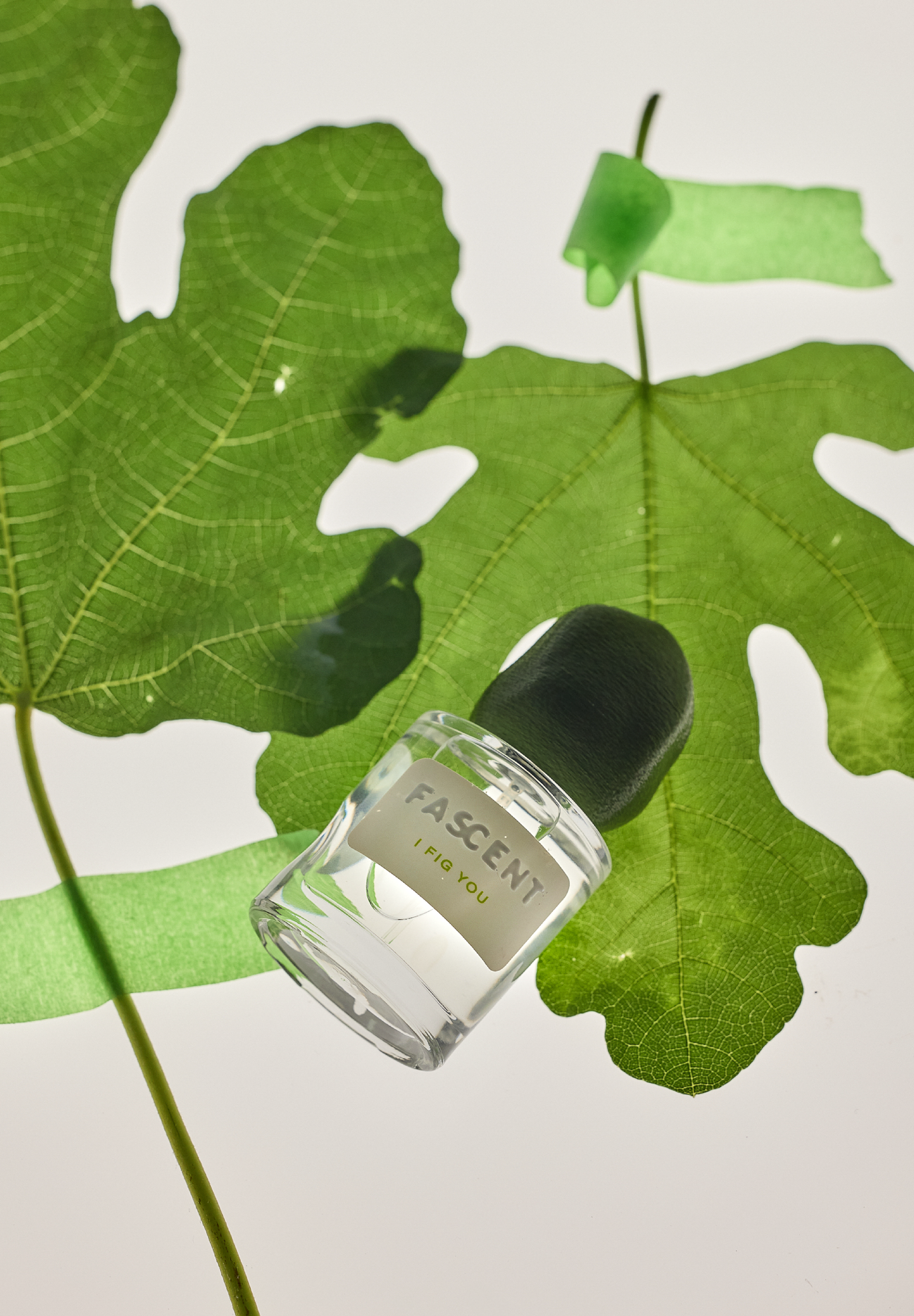 Fascent - I Fig You Eau de Parfum