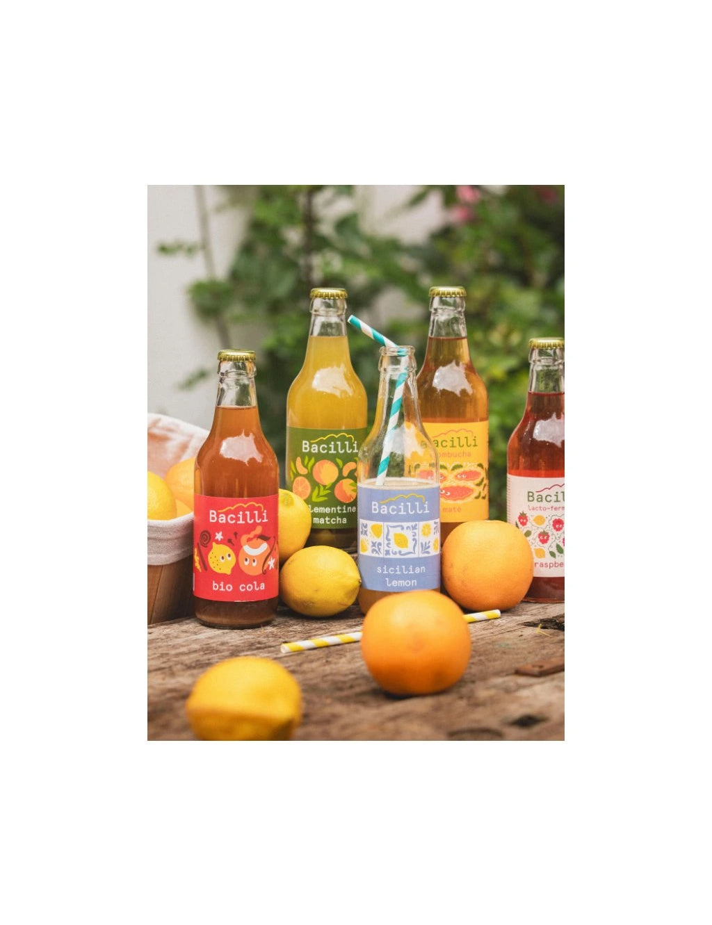 4773_bacilli-kombucha-mate-bio-330ml_0112bf7f-58f7-4534-8724-0900c1e4c052.webp
