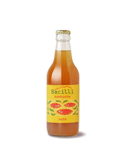 Bacilli - Kombucha