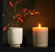 Wildsmith - YULESTARN CANDLE