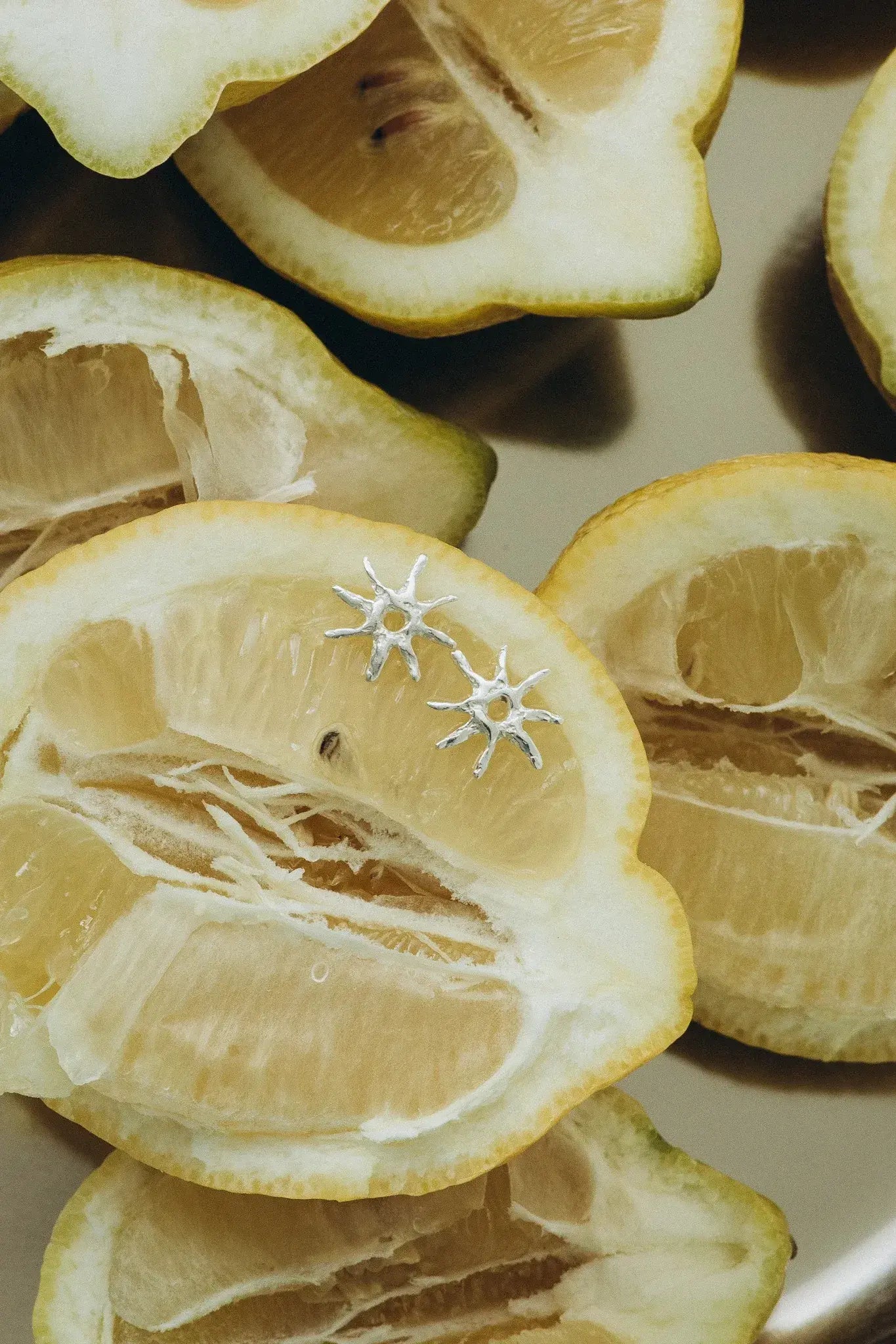 OPLOTKA MINI CARE SILVER Earrings