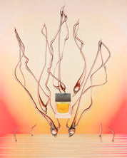 SORA DORA - Lü Bu 50ml