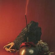 Incense sticks KATARZIST