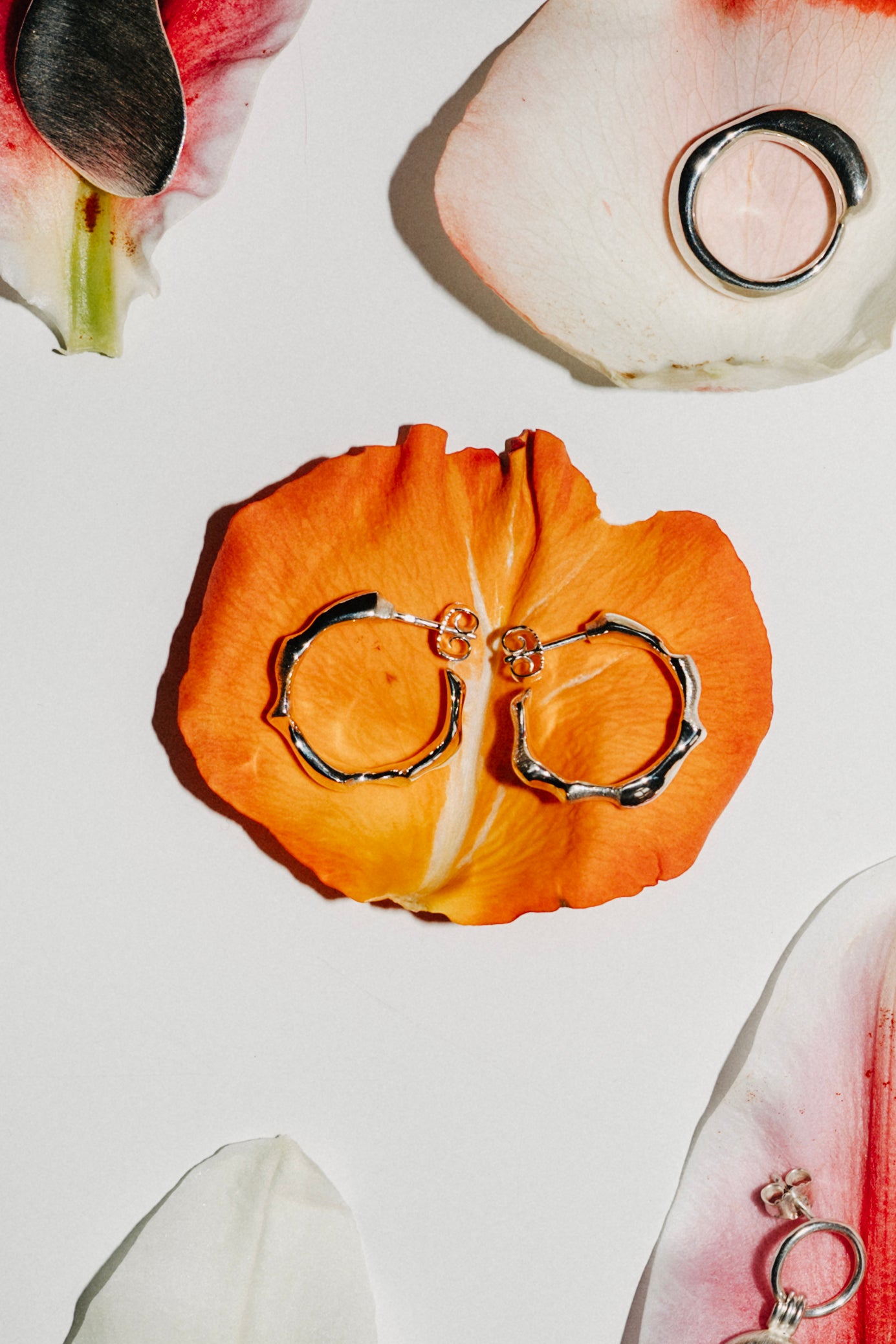 Maria Kobelova - Silver Earrings EQ