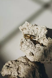 OPLOTKA INTUICJA GOLD Ring